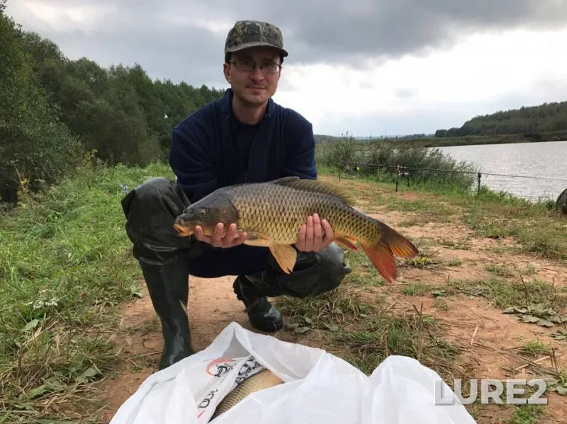 Carp — Pechet, Sep 14, 2017