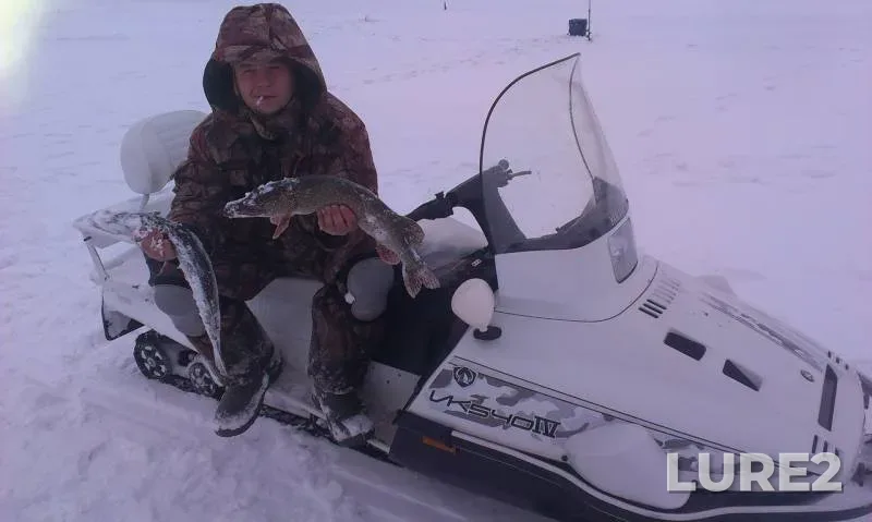 Perch — Tambovskaya oblast, Gavrilovskiy munitsipalnyy okrug, Jan 09, 2017