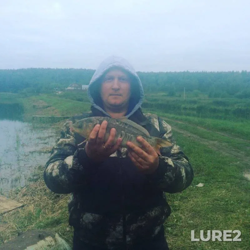 Carp — Pechet, Sep 01, 2017