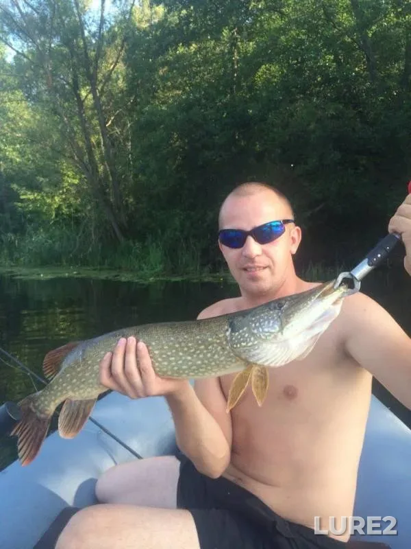 Pike — Tambovskaya oblast, Sosnovskiy munitsipalnyy okrug, Aug 02, 2016