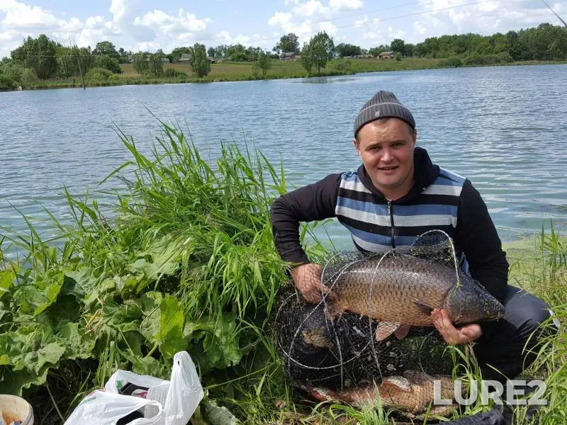 Carp — Tambovskaya oblast, Sosnovskiy munitsipalnyy okrug, Jun 04, 2016