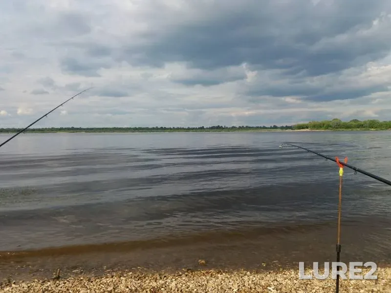 Bream — Volga, Jun 18, 2019
