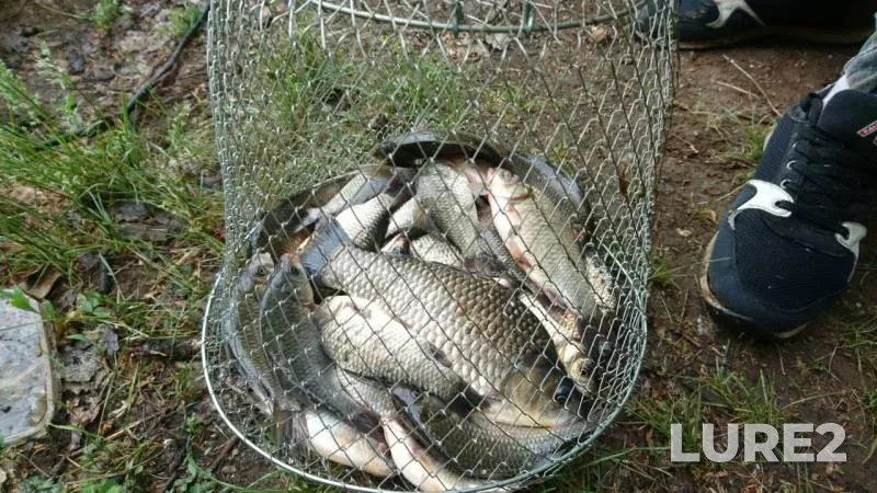 Crucian carp — Sredneye, May 27, 2019