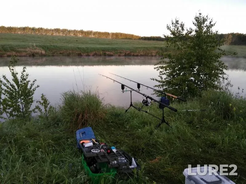 Crucian carp — Nizhegorodskaya oblast, May 26, 2019