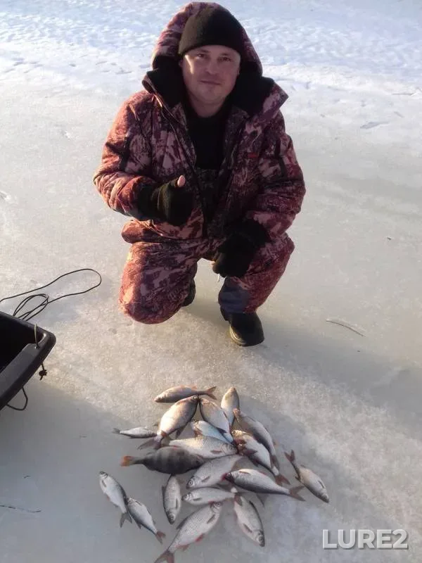 Bream, Perch — protok Sobachiy proran, Mar 12, 2019