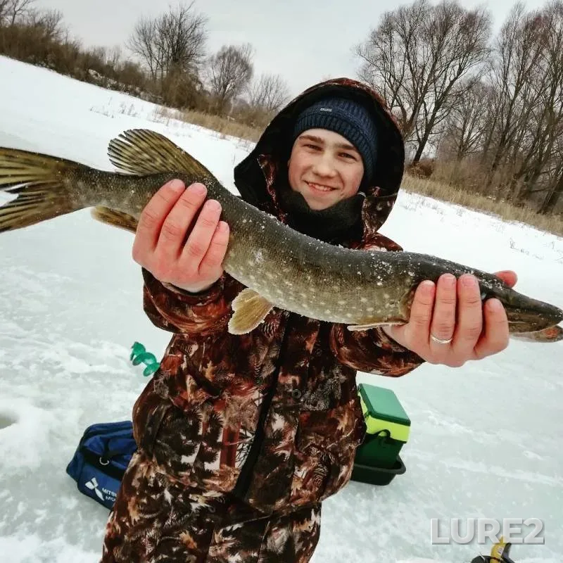 Pike — Sundovik, Mar 08, 2019