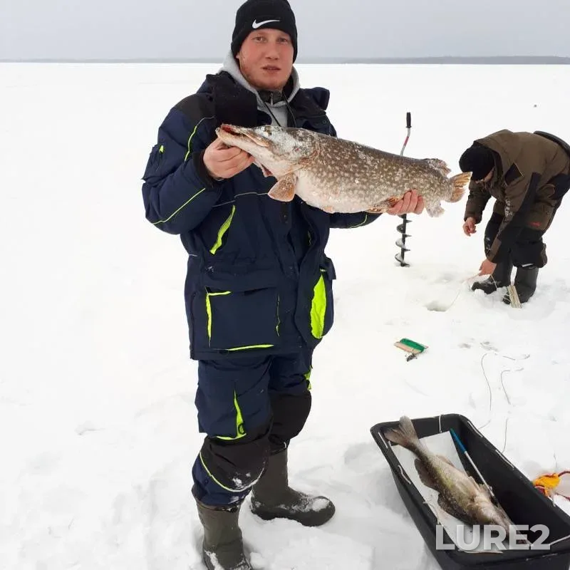 Pike, Zander — Cheboksarskoye, Feb 22, 2019