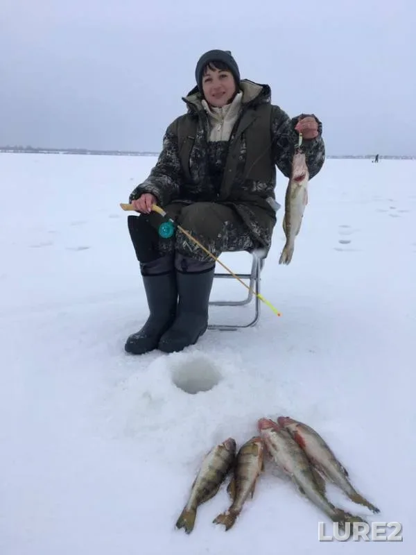 Zander — Volga, Feb 17, 2019