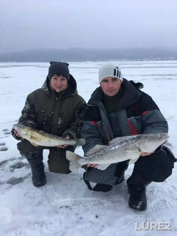 Zander — Volga, Jan 26, 2019