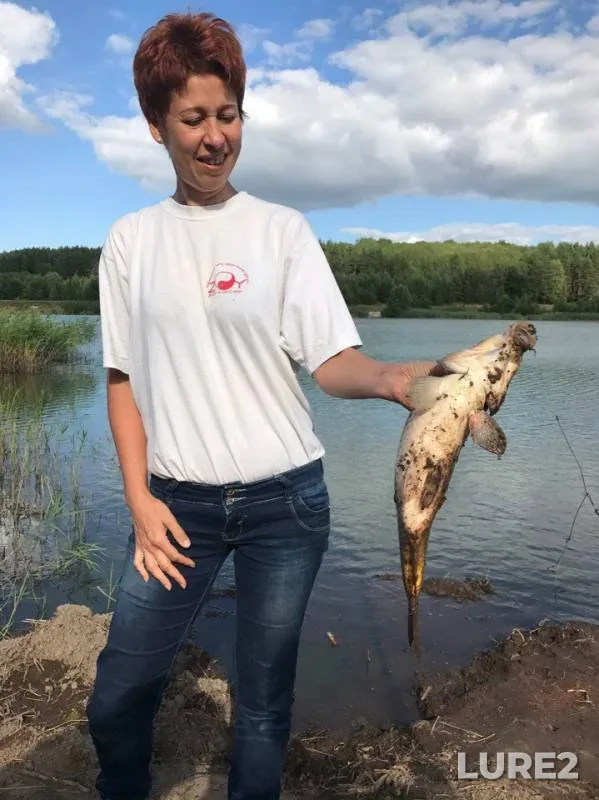 Carp — Pechet, Aug 09, 2017