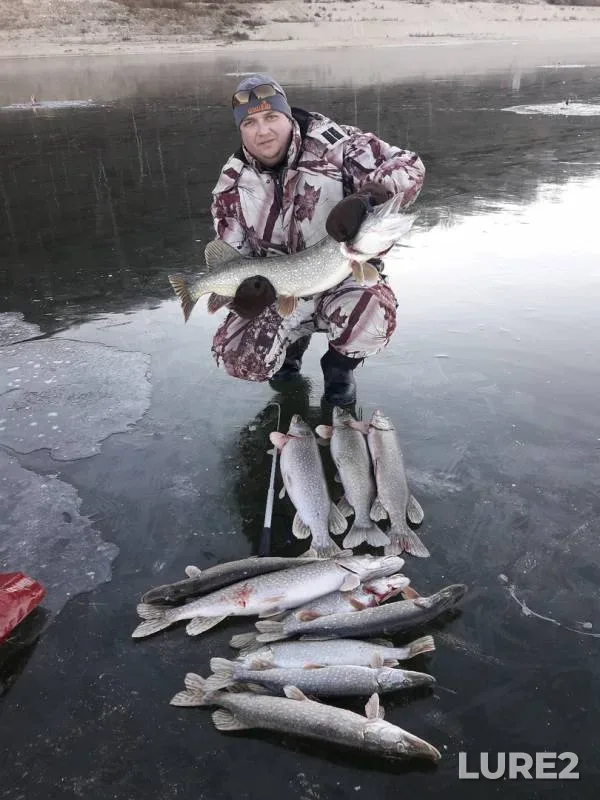 Pike — Dudenevskiy zaton, Nov 19, 2018