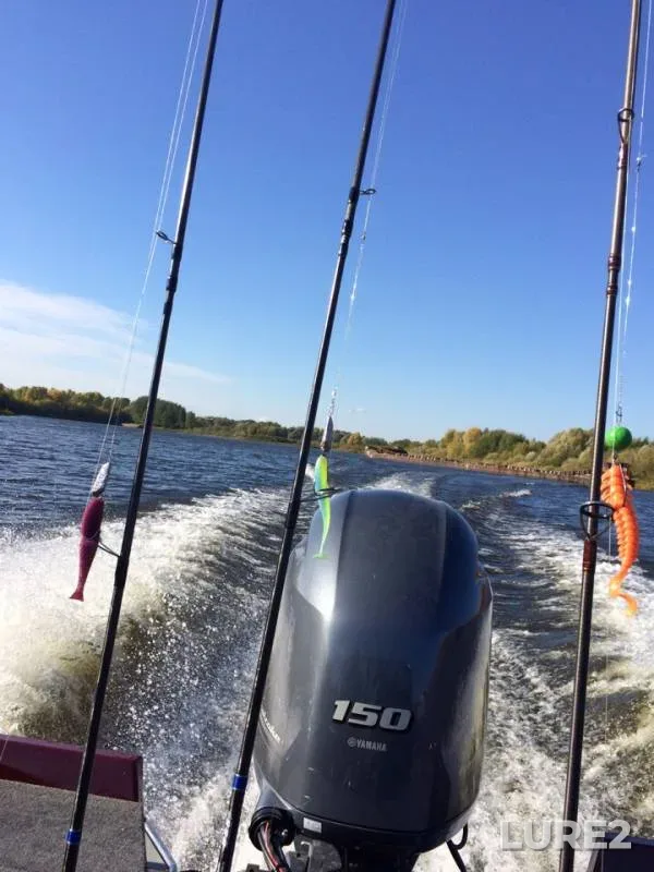 Pike — Volga, Oct 01, 2018