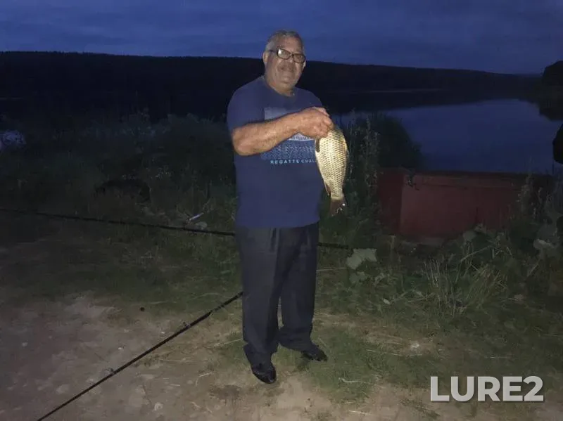 Carp — Pechet, Jul 31, 2017