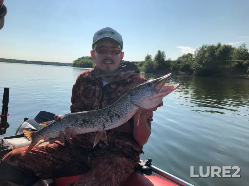 Pike — Belaya, Aug 06, 2018