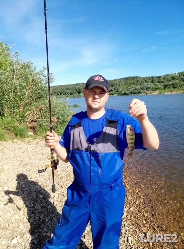 Perch — Oka, Aug 13, 2017