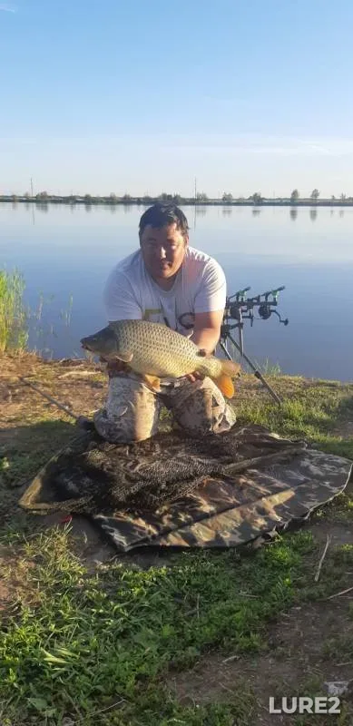 Carp — Samarskaya oblast, May 26, 2019