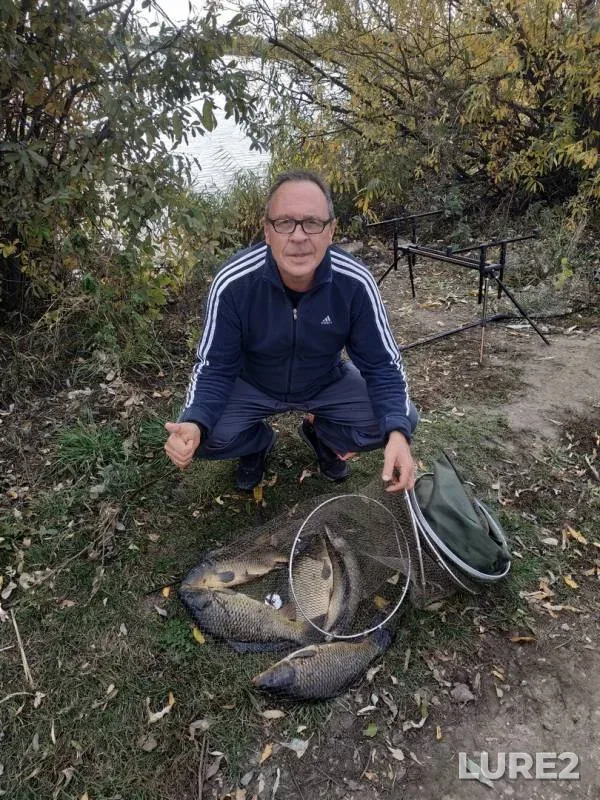 Carp — Samarskaya oblast, Oct 15, 2018