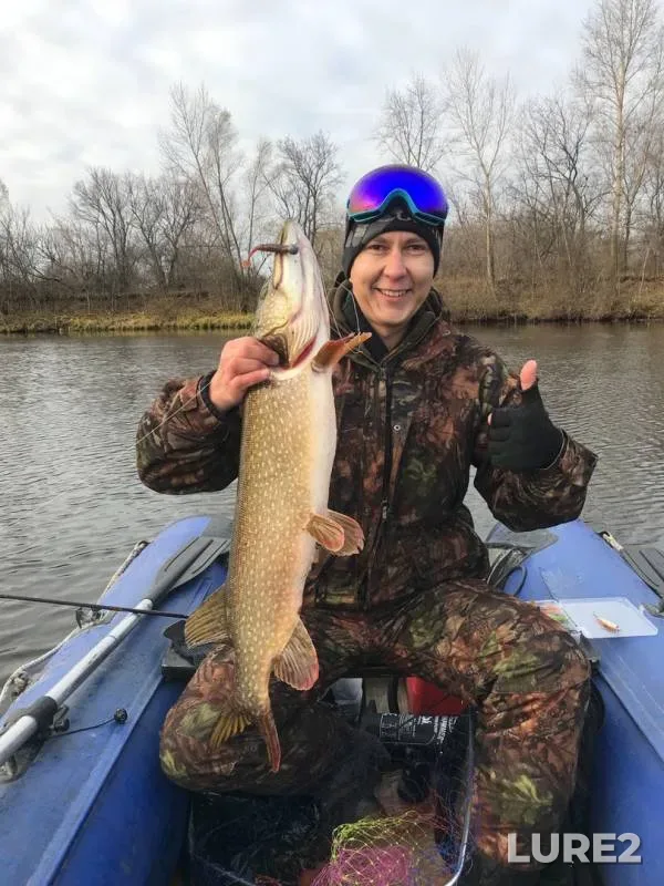 Pike, Zander — Chapayevka, Nov 03, 2017