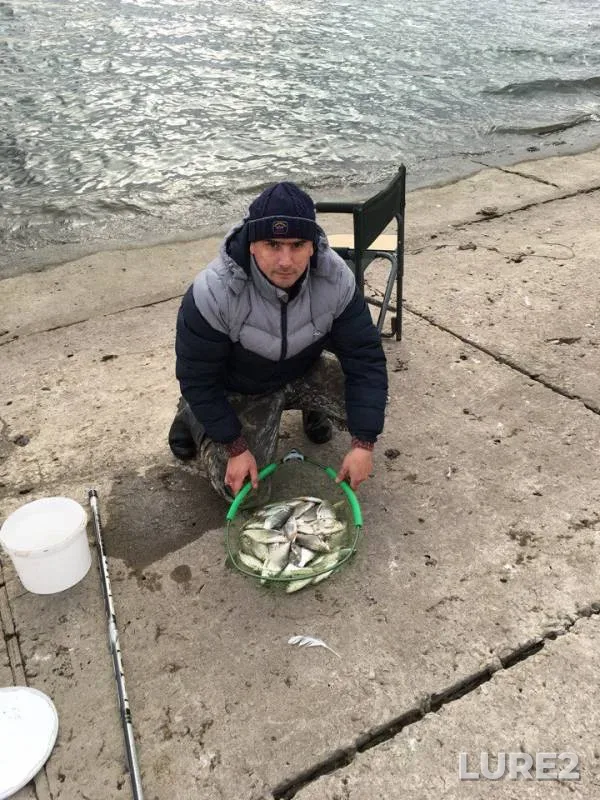 White bream — Chernovskoye, Oct 21, 2017