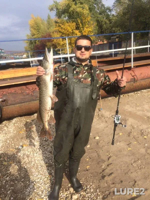 Pike — Volga, Oct 08, 2017