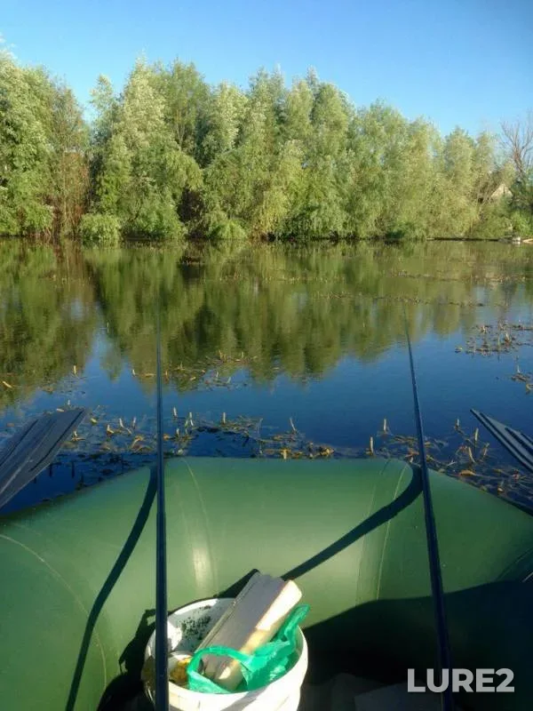 Crucian carp — Malyy Surush, Jul 24, 2017