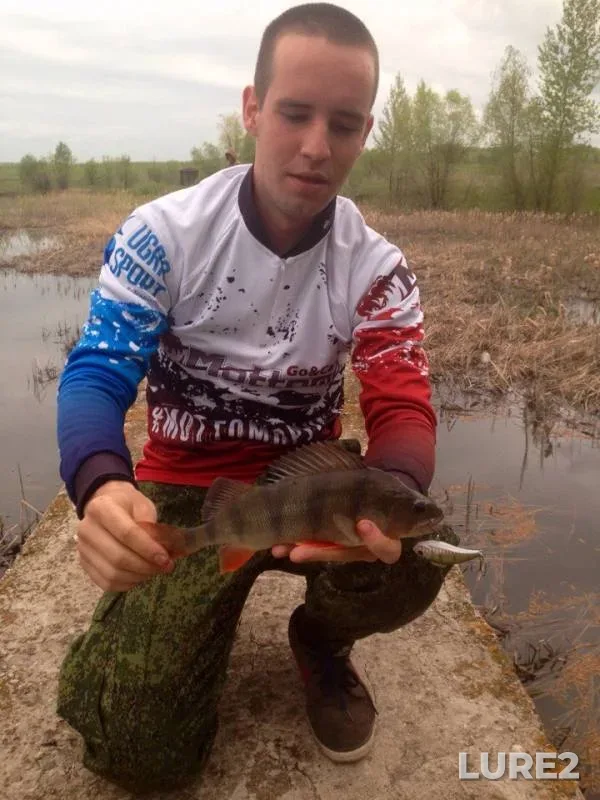 Perch — Samarskaya oblast, May 21, 2017