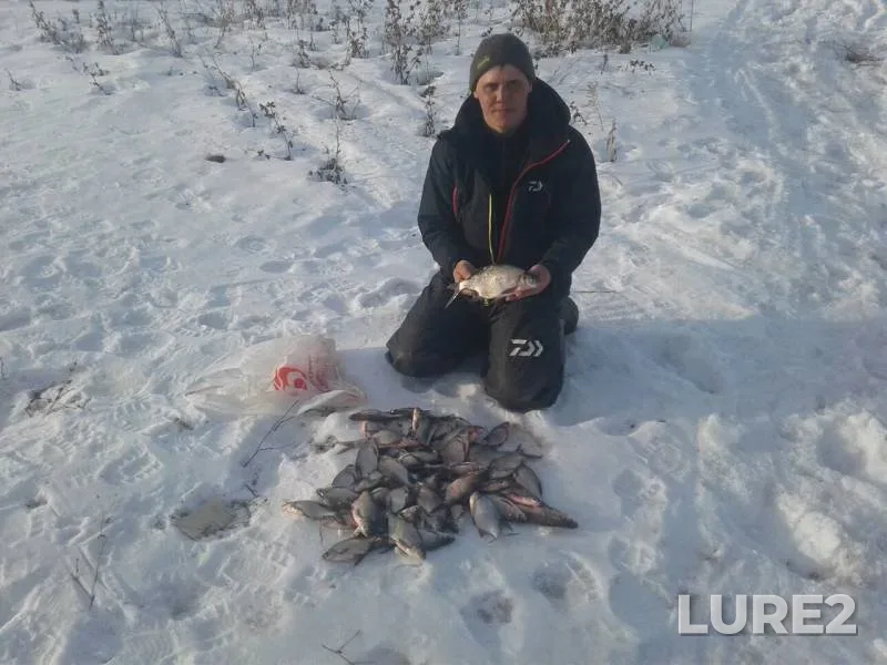 Bream — Bezenchuk, Mar 20, 2017