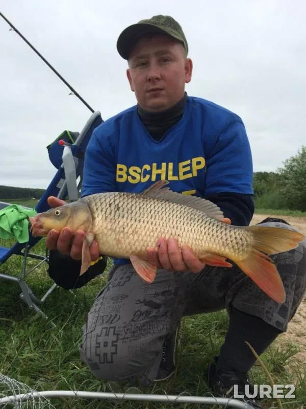 Carp — Pechet, Jul 30, 2018