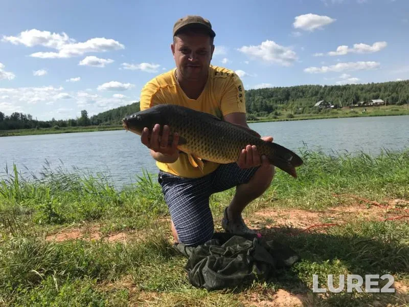 Carp — Pechet, Aug 10, 2018