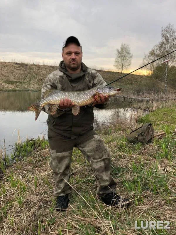 Pike — Tulskaya oblast, May 03, 2018