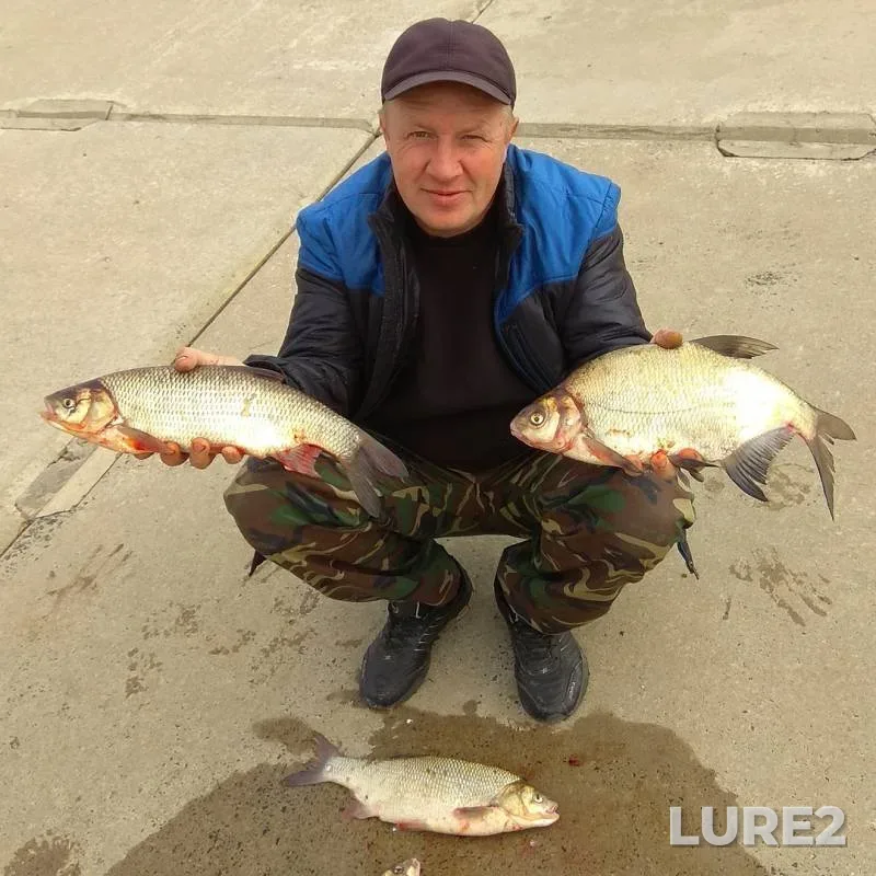 Bream — Irtysh, Sep 09, 2018