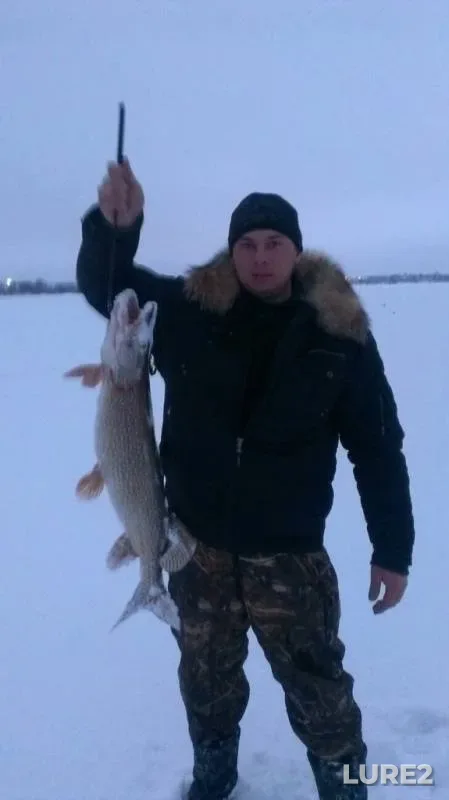 Pike — Aborino, Jan 08, 2014