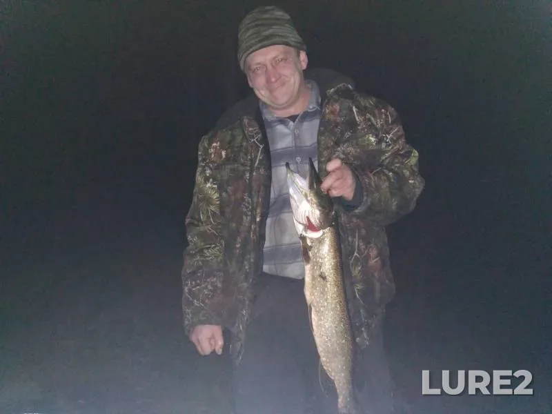 Pike — Volga, Nov 10, 2018