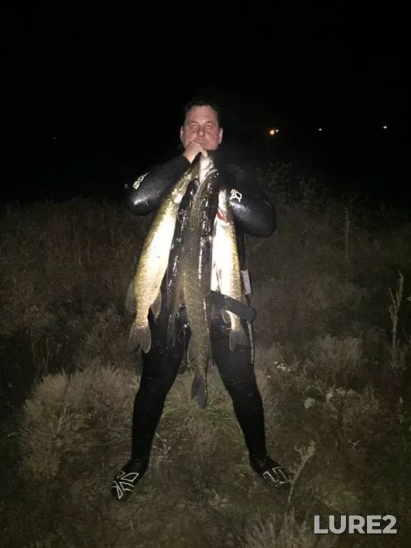 Pike — Pyana, Nov 02, 2018