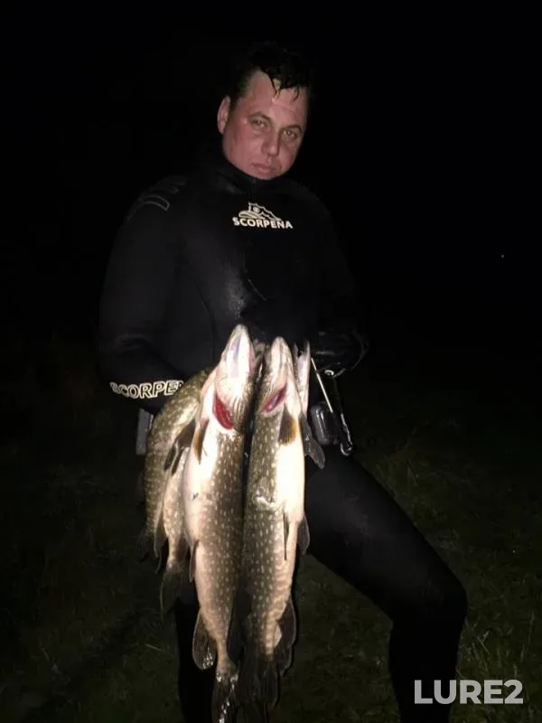 Pike — Pyana, Oct 17, 2018