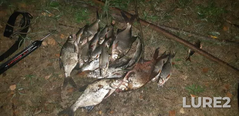 Bream — Kerzhenets, Aug 13, 2018