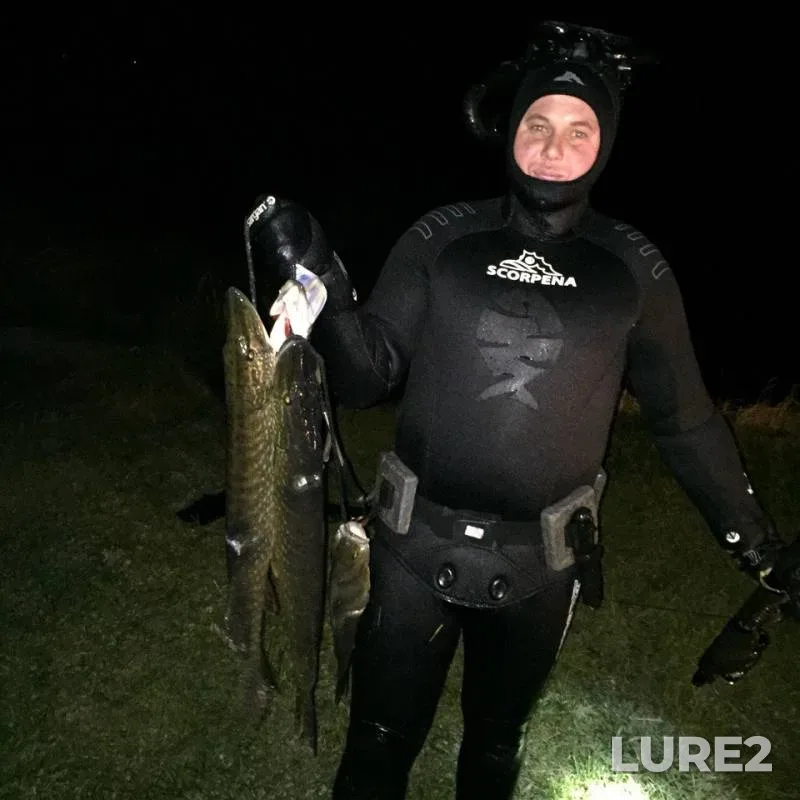 Pike — Pyana, Oct 27, 2017