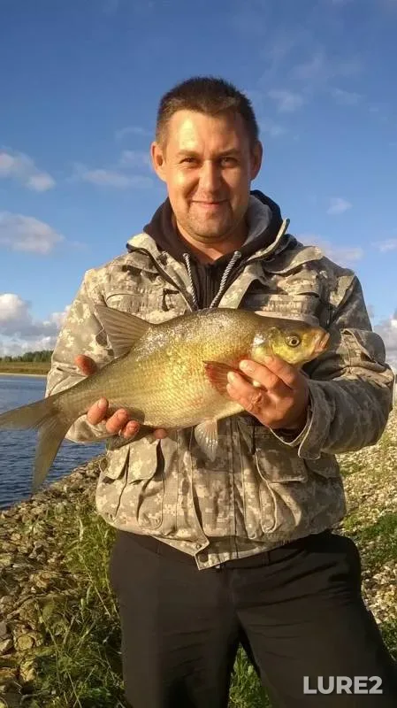 Bream — Volga, Jan 19, 2017