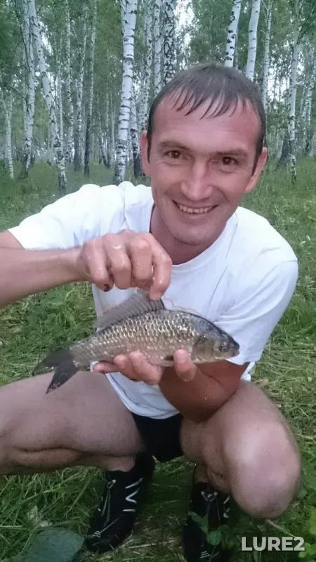 Crucian carp — Ur, Dec 15, 2016