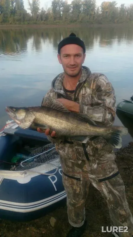 Pike, Zander — Orlovskaya protoka, Dec 15, 2016