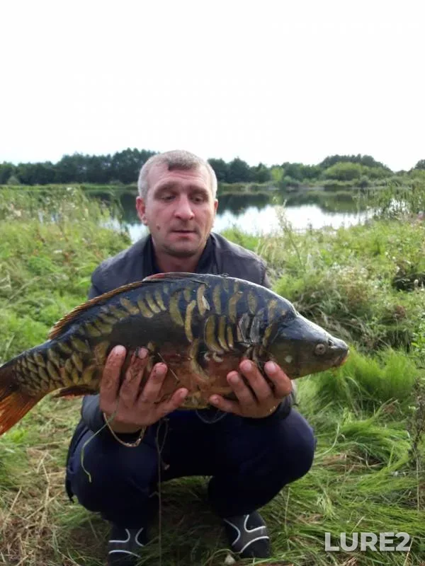 Carp — Bekshanka, Aug 27, 2019