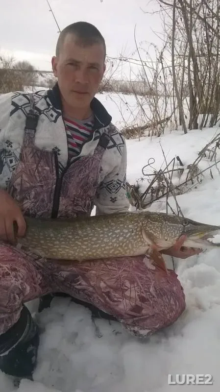 Pike — Pyana, Feb 15, 2019