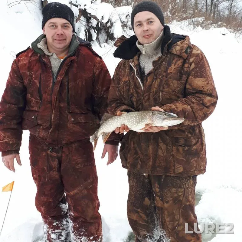 Pike — Usta, Feb 10, 2019