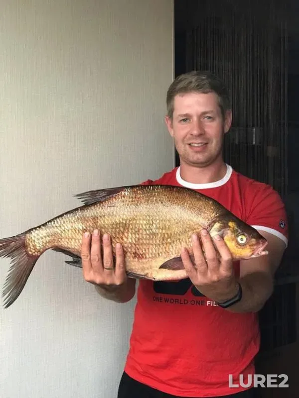 Bream — Klyazma, Jun 22, 2019