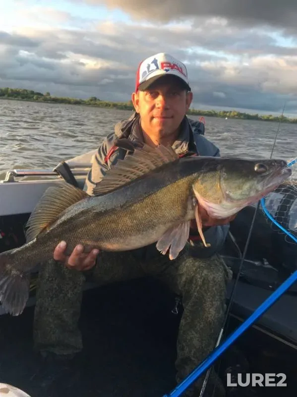 Zander — Volga, Jul 10, 2019