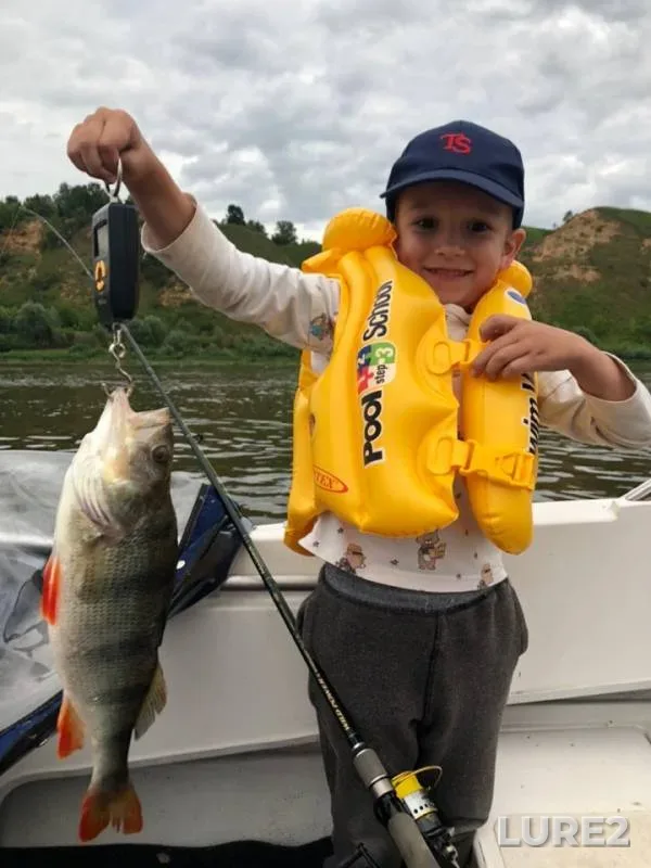Perch — Oka, Jul 12, 2019