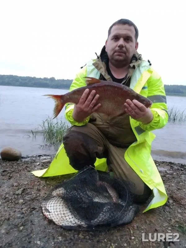 Bream — Oka, Aug 18, 2019