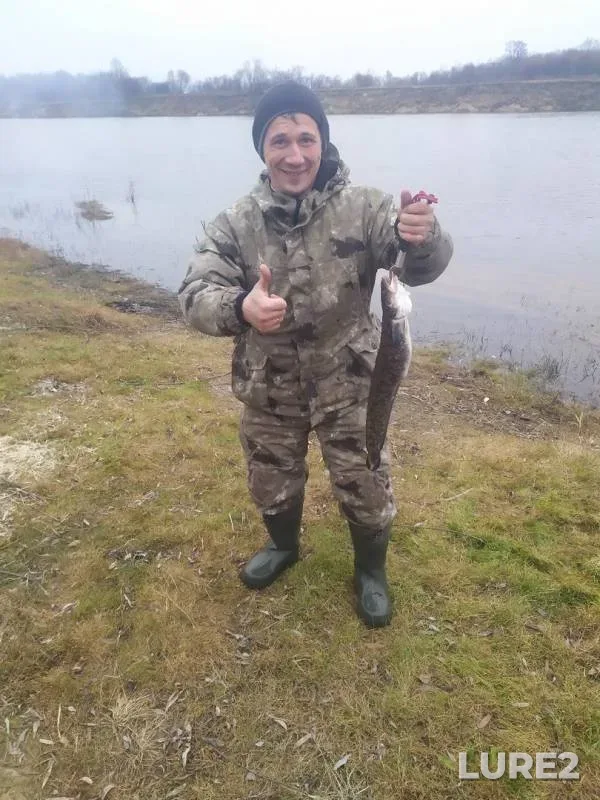 Burbot — Klyazma, Nov 11, 2019