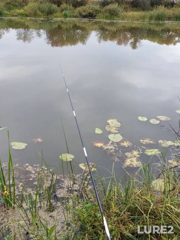 Bream — Podgornoye, Sep 08, 2019
