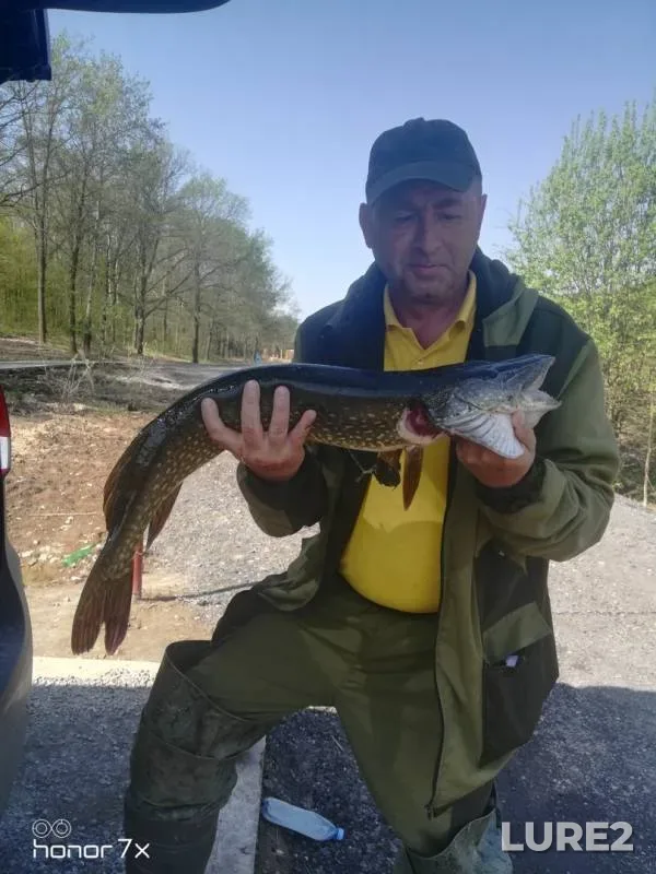 Pike — Tretye, May 08, 2019